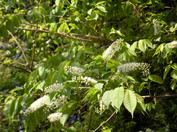 c0047341_9272444.jpg