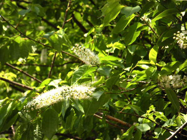 c0047341_9273533.jpg