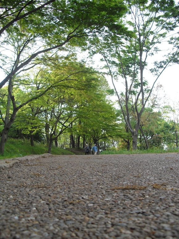 突撃　なら　奈良へ　Part1～大台ケ原・吉野山編～_d0132743_114337.jpg