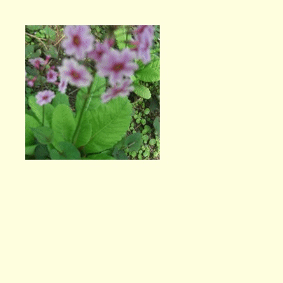 f0031546_22521917.gif