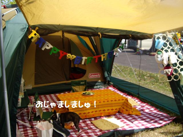 e0098547_4382616.jpg