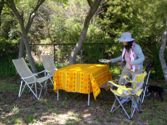 e0098547_4495079.jpg
