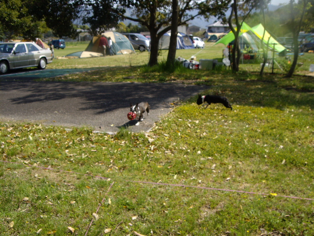 e0098547_515088.jpg