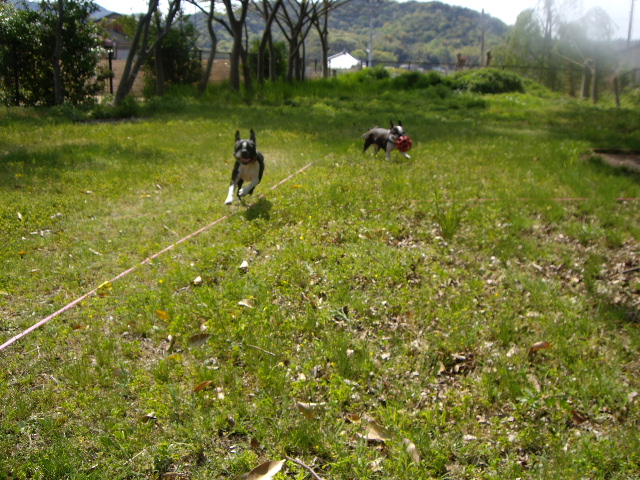 e0098547_525451.jpg