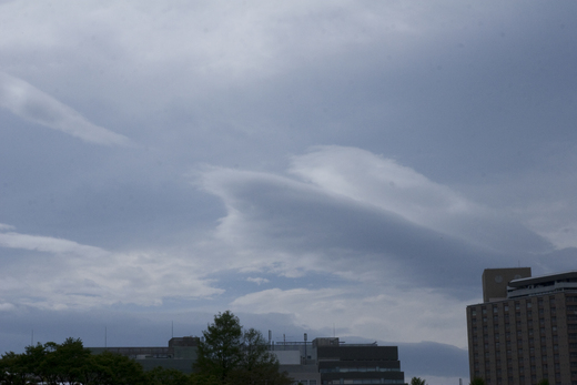 b0112648_1349827.jpg