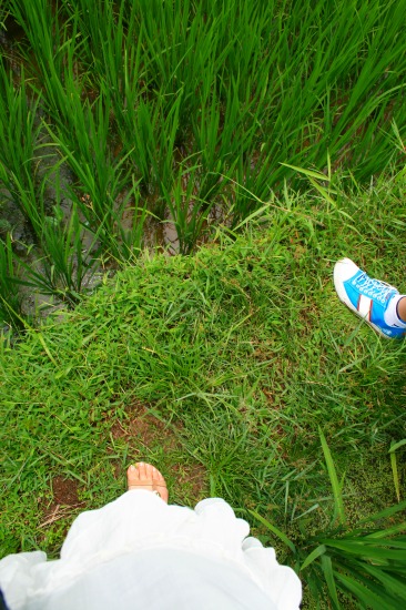 a0102153_11124166.jpg