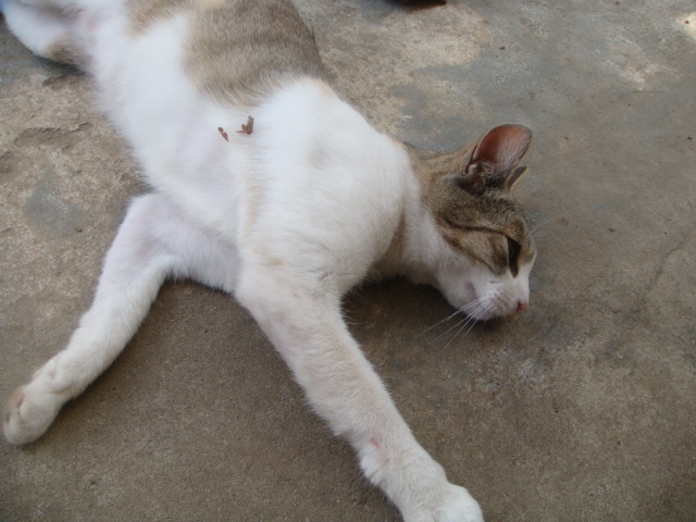 c0074157_003792.jpg