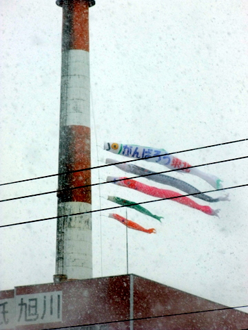 b0165760_19293562.jpg