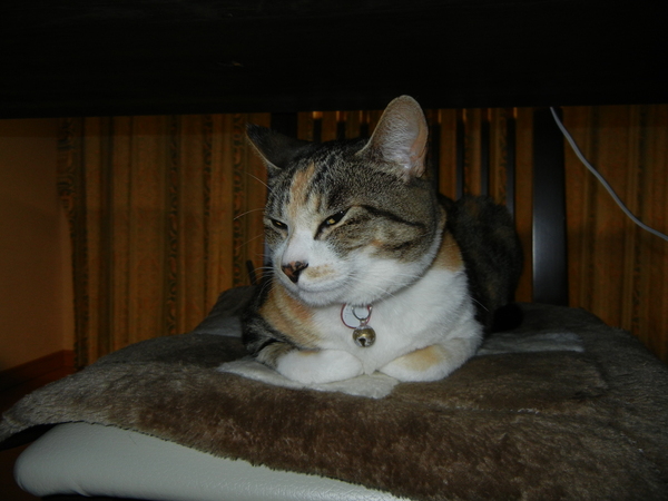 2011年5月2日(月)連休は忙しい!_f0060461_22325484.jpg