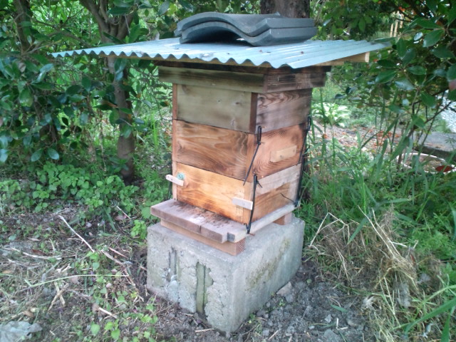 e0187064_07545.jpg