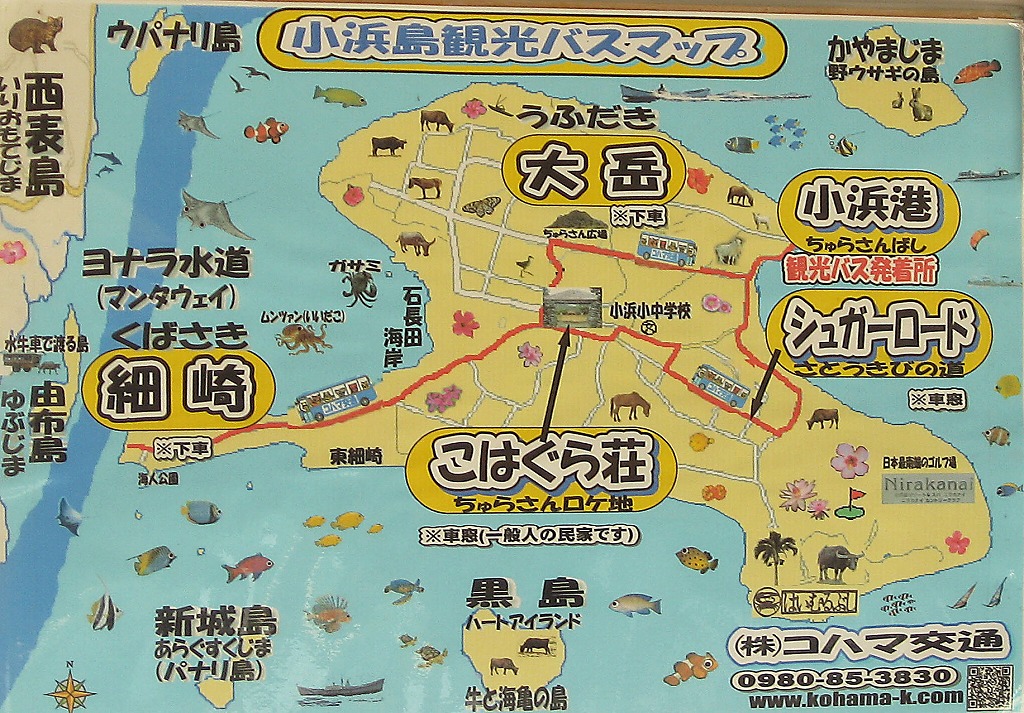 八重山諸島 春夏秋冬思い付くままに 八重山諸島 春夏秋冬思い付くままに