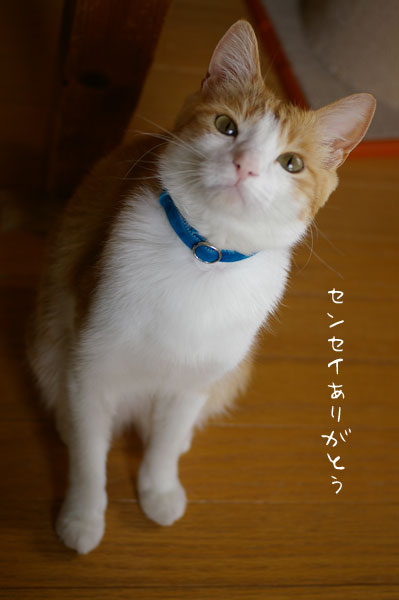 a0064067_2204139.jpg