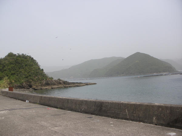 d0168569_18515546.jpg