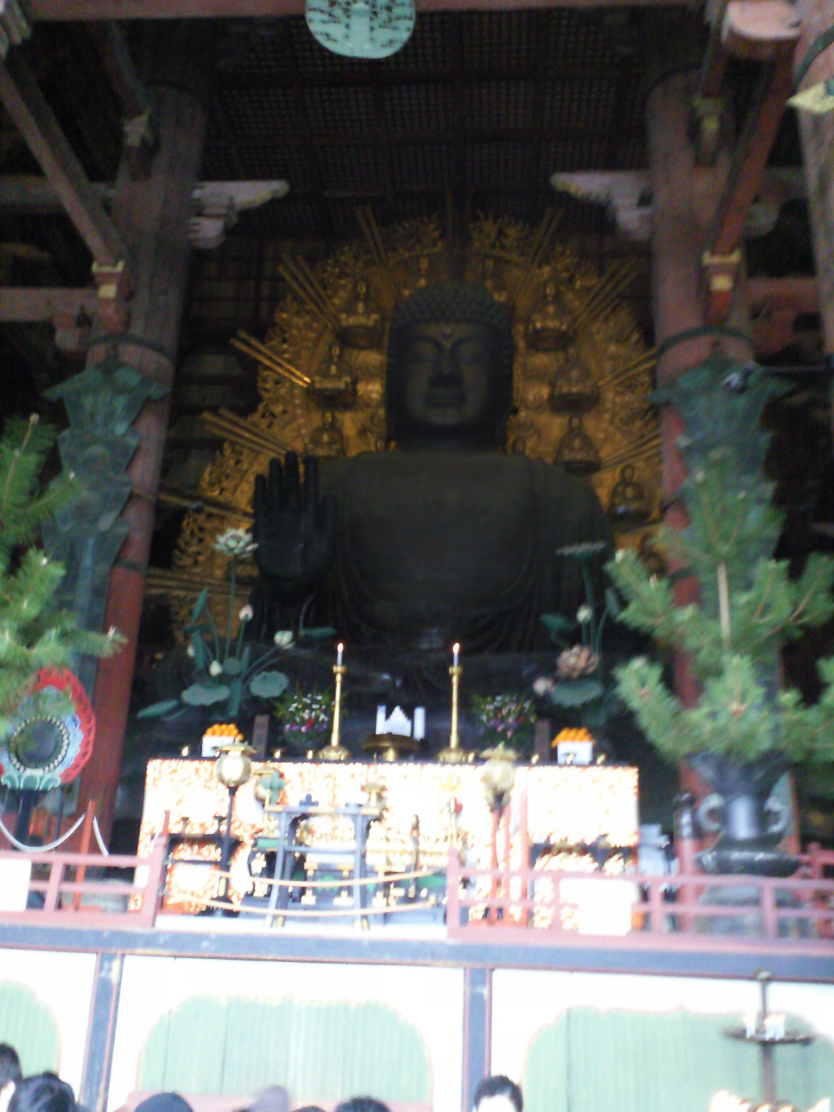 大仏と虎と屏風_c0001670_19334223.jpg