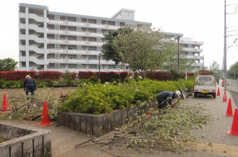風の力も恐い_f0059673_0322494.jpg