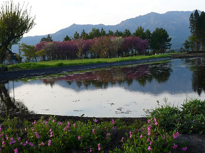 c0152779_1251425.jpg