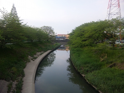 「幼川橋」岩倉五条川の桜と橋 _c0224379_15515427.jpg