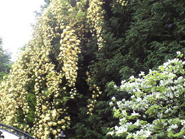 c0206084_2241933.jpg