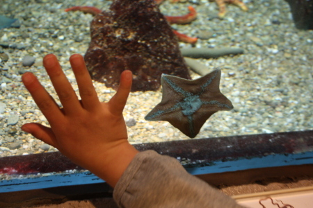c0118387_10364514.jpg