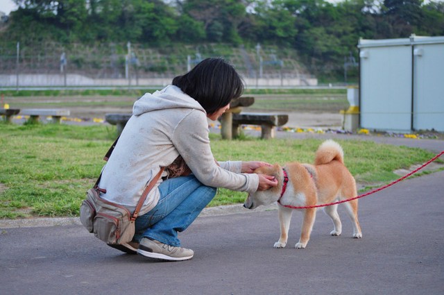 1日の終わりのありがとう_a0126590_2139529.jpg
