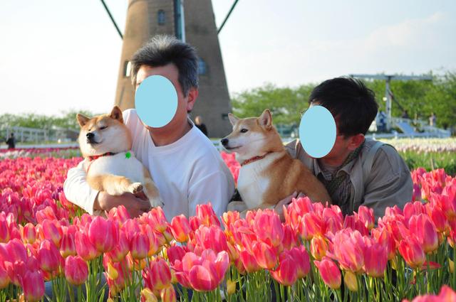 1日の終わりのありがとう_a0126590_2148950.jpg