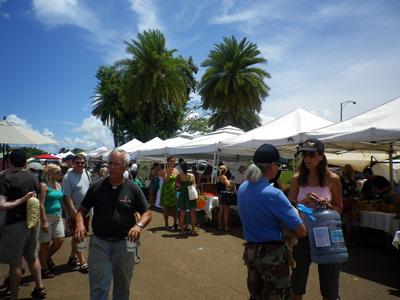 f0220791_1441239.jpg