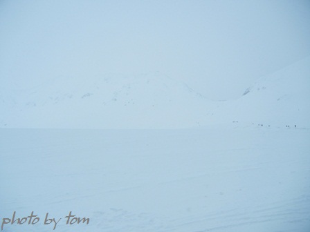 立山黒部アルペンルート47～「雪の大谷2011」《１》_b0155692_193015.jpg