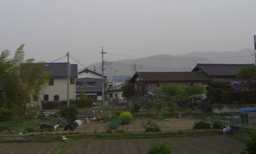 d0000995_2093688.jpg