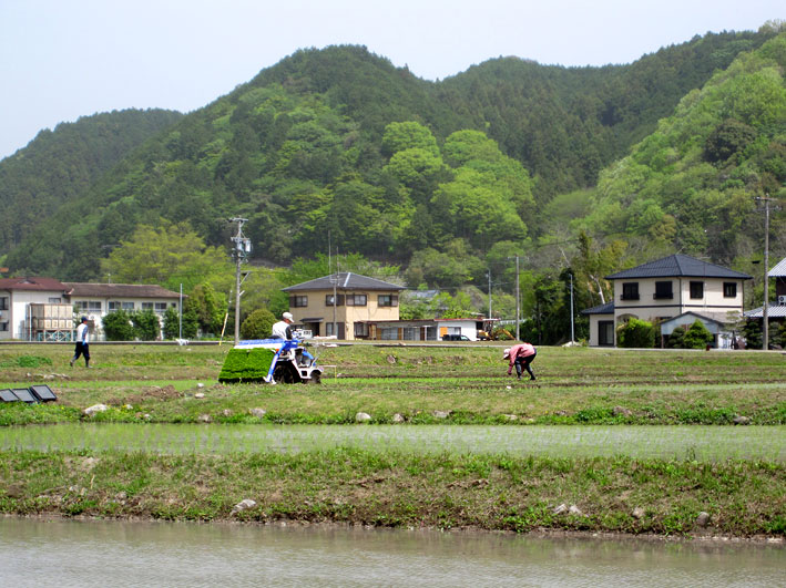 田植え始まる連休_b0145296_10402628.jpg