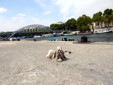 c0090198_432577.jpg