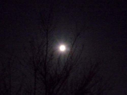 BLUE MOON_b0220499_2124354.jpg