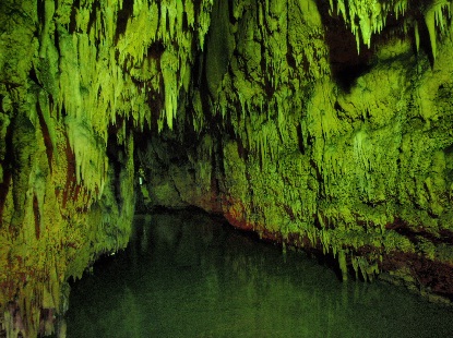 e0077899_86266.jpg