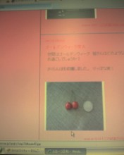 c0164401_12252161.jpg