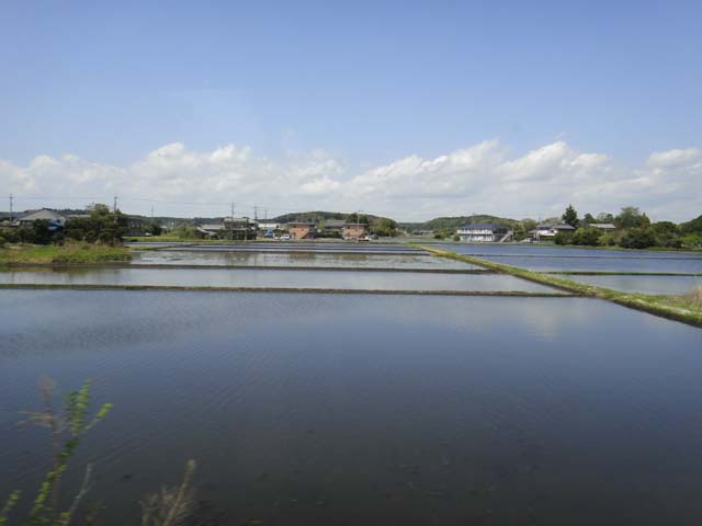 d0004301_037534.jpg