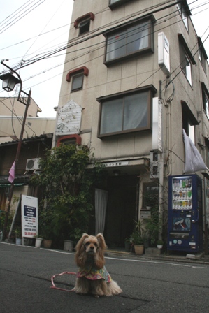 c0128303_1834557.jpg