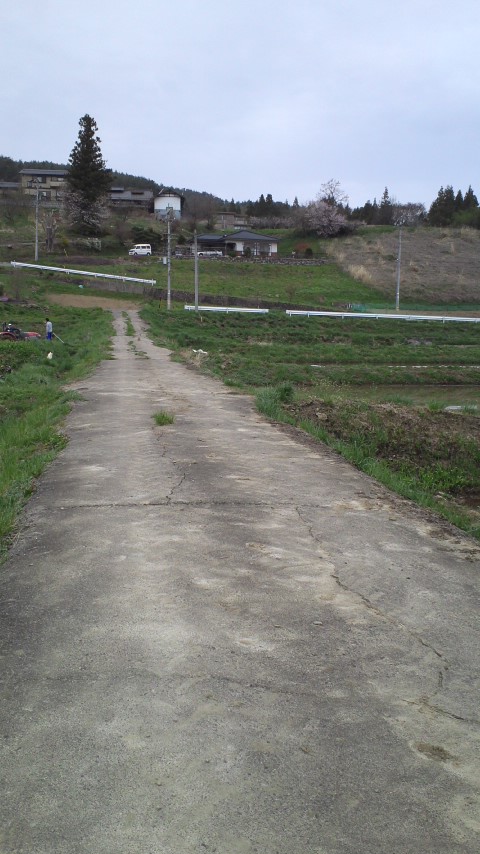 d0178903_843120.jpg