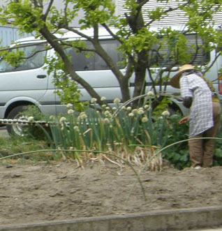f0036603_2334218.jpg