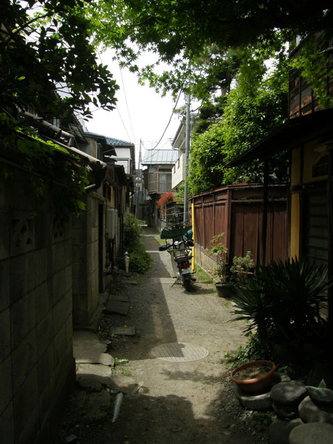 f0036603_23343978.jpg