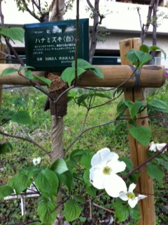 裸眼_c0197505_250245.jpg