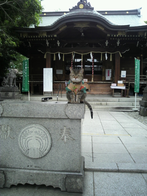 e0031605_11285772.jpg