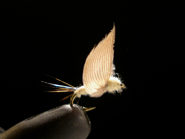 a0176707_21545096.jpg