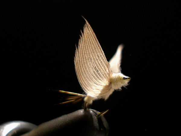 a0176707_2231229.jpg