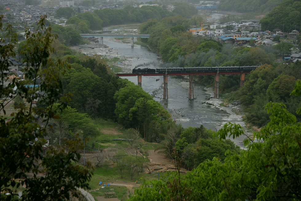 新緑の並木道 - 2011年春・秩父 -_b0190710_20554982.jpg