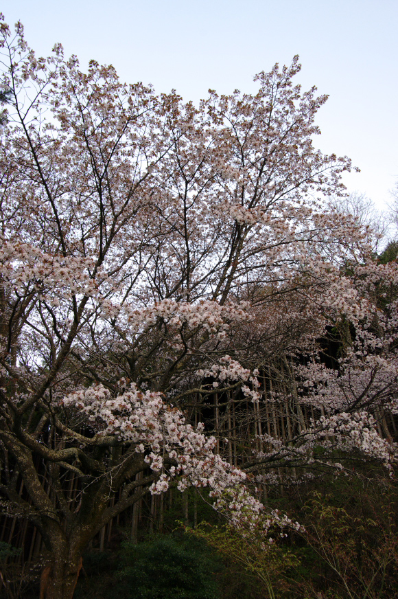 f0221510_22382231.jpg