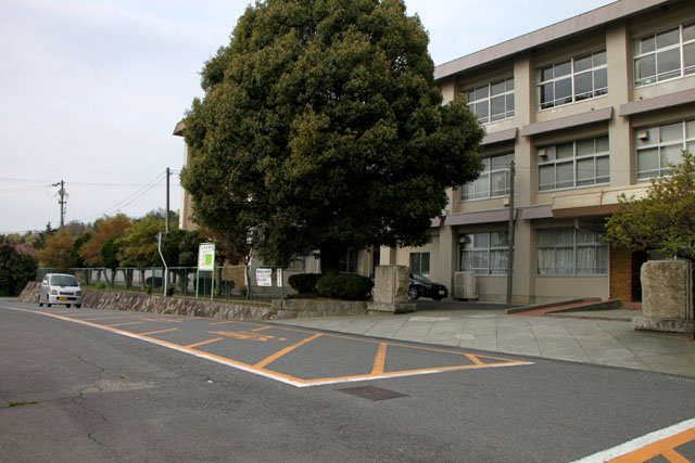 志賀町の棚田_e0048413_21145437.jpg