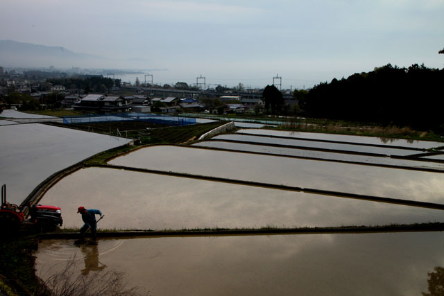 志賀町の棚田_e0048413_2116067.jpg