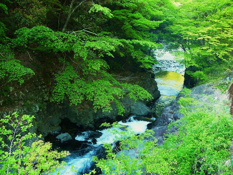 f0182513_21593544.jpg