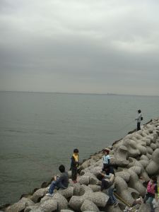 袖ヶ浦 海浜 公園 釣り