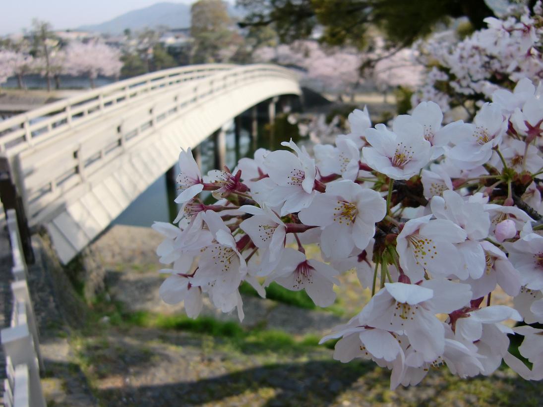 宇治の町並み（京都府宇治市）_c0219820_19234946.jpg