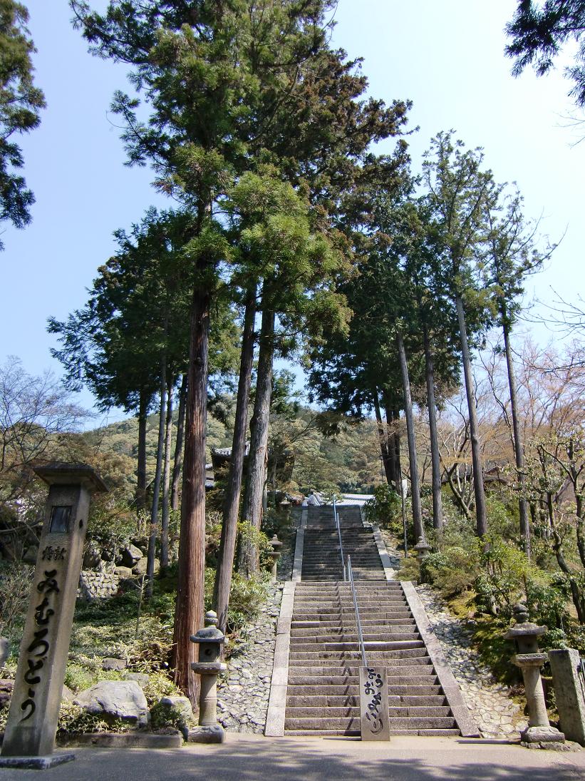 三室戸寺（京都府宇治市）_c0219820_19443083.jpg